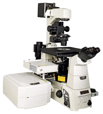 Nikon-Confocal-3277A